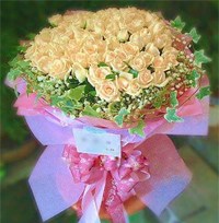 66 Roses